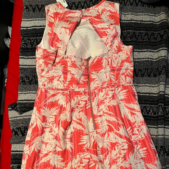 J Crew Size 14T new with tags crème and peach dress - Picture 2 of 4